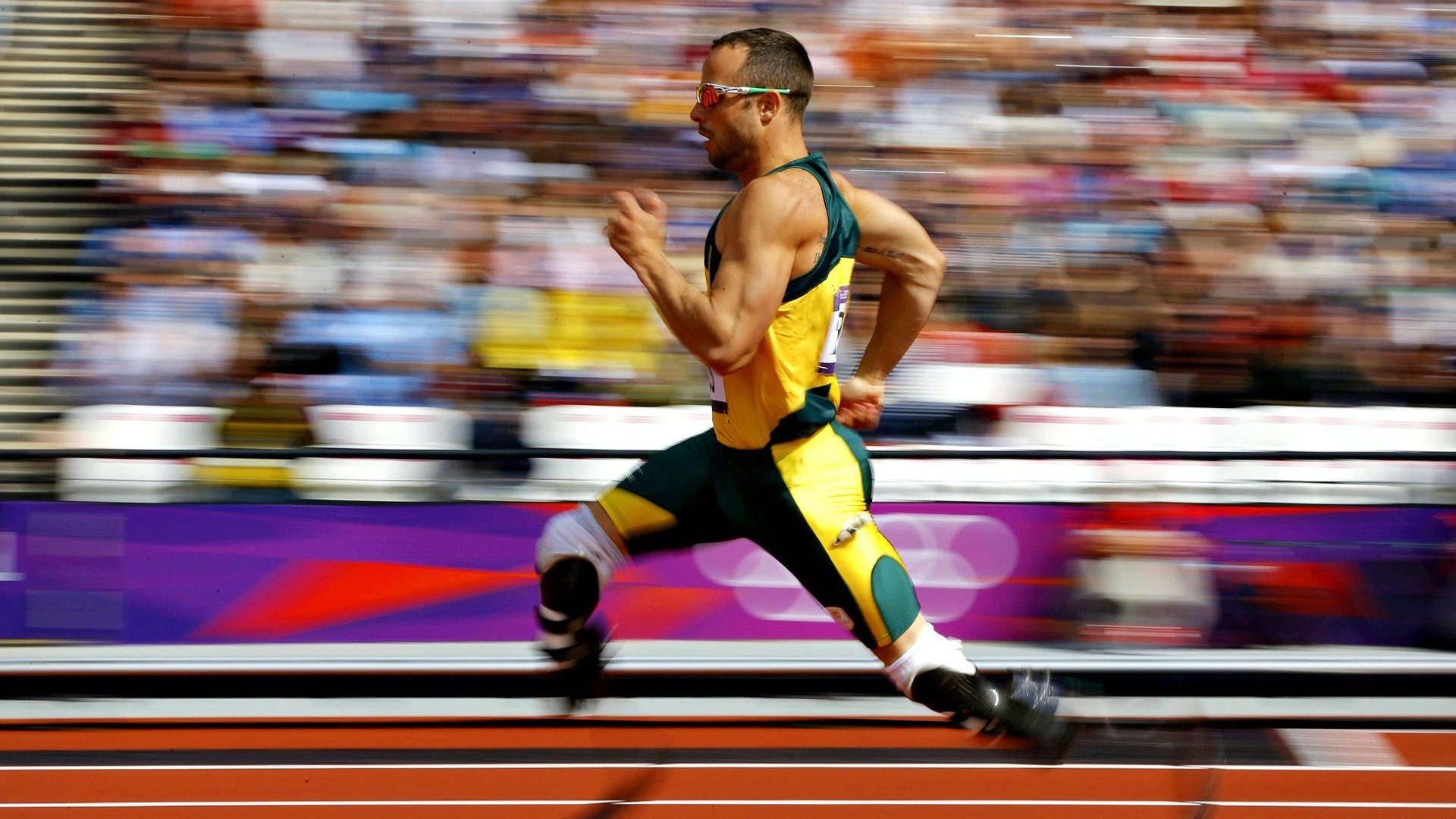 伊利亚·哈伦稳步晋级蝶泳决赛