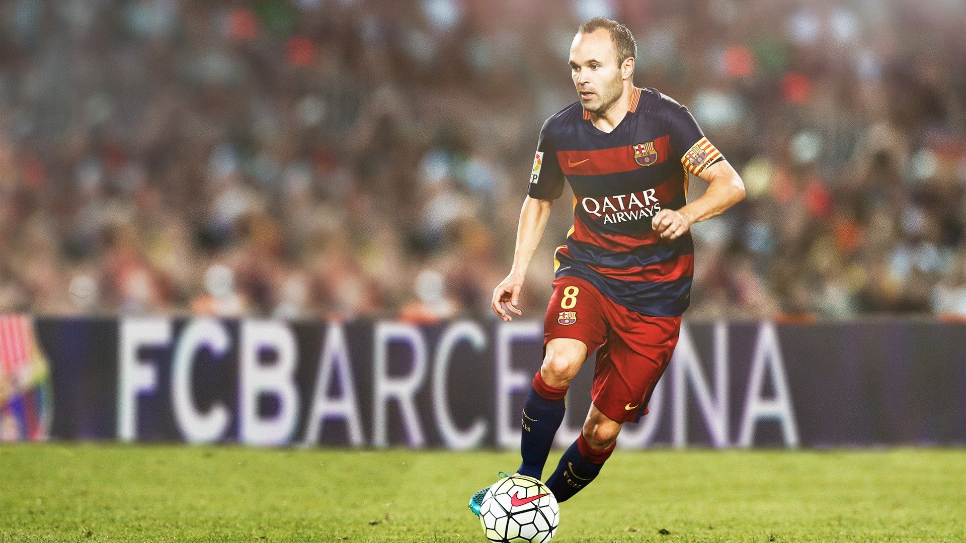 公牛主场训练首次对媒体开放球迷反响热烈,公牛队的主场在哪