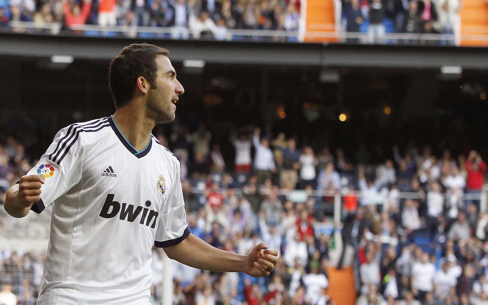 大卫·波波维奇决赛表现亮眼夺冠有望，大卫波德威尔